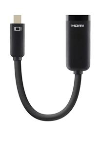 Belkin Mini DP/HDMI, M/F Black