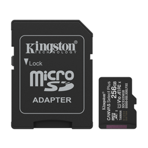 SDCS3/256GB