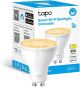 Tapo P100(2-pack)