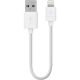 Belkin 15cm Lightning Charging Cable for iPhone 11 11 Pro 11 Pro Max XS XS Max XR X 8/8 Plus White