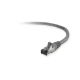 Belkin UTP CAT6 0.5m networking cable U/UTP (UTP) Grey