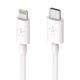 F8J239bt04-WHT